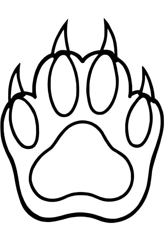 Dog Paw Outline
