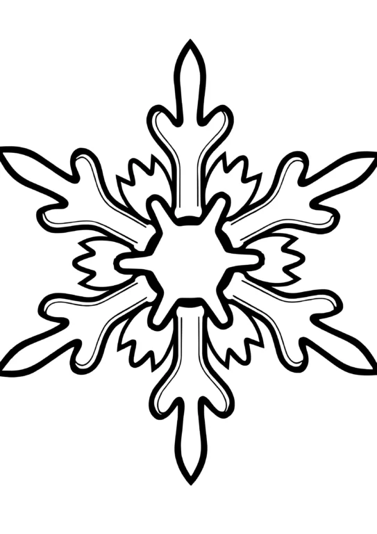 Simple Snowflake